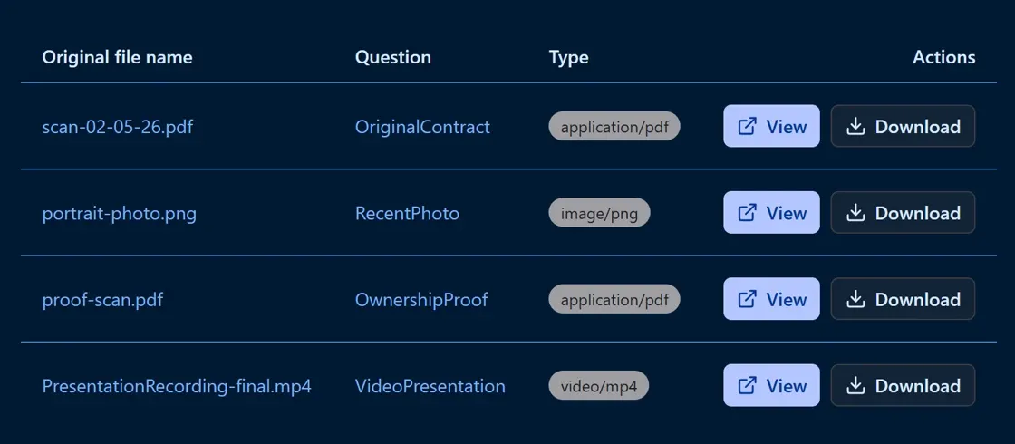 Endatix file storage interface